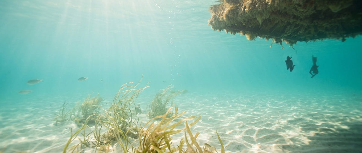Sonnenlicht durchflutet klares türkisfarbenes Meerwasser über hellem Sandboden mit Seegras – Sinnbild für die marinen Wirkstoffe von BELLIXIR Skinnovation
